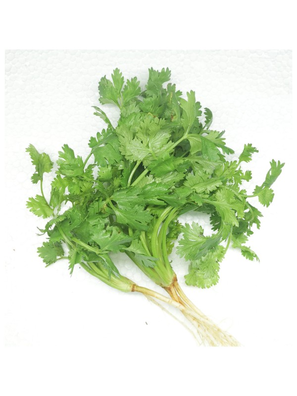 CORIANDER LEAF / DAUN KETUMBAR ±250g
