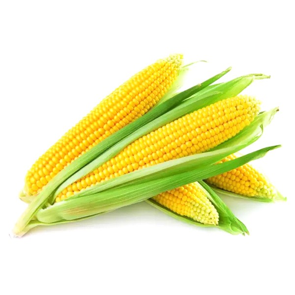 Sweet Corn / Jagung Manis 5S