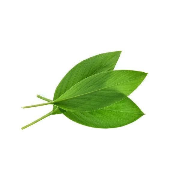 Turmeric Leaves \ Daun Kunyit ±100g