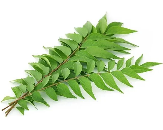 Curry Leaves- Daun kari ±100g