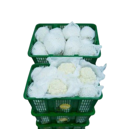 CAULIFLOWER \Bunga Kobis 12Kg