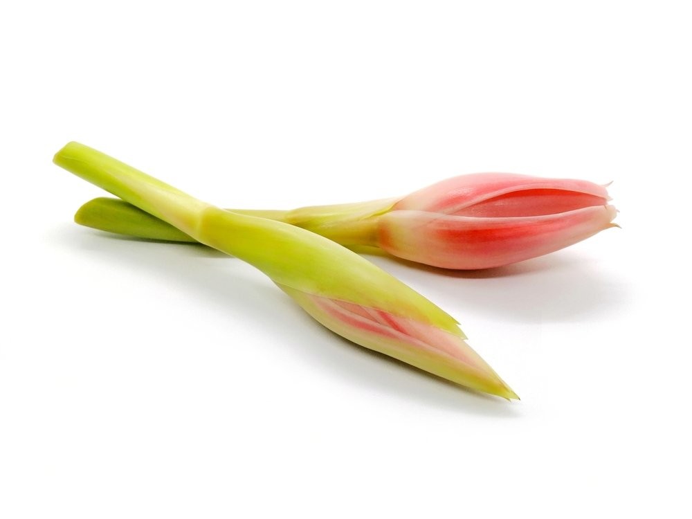 Bunga kantan \ kantan Flowers 3pcs